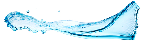 pure water world paper mill